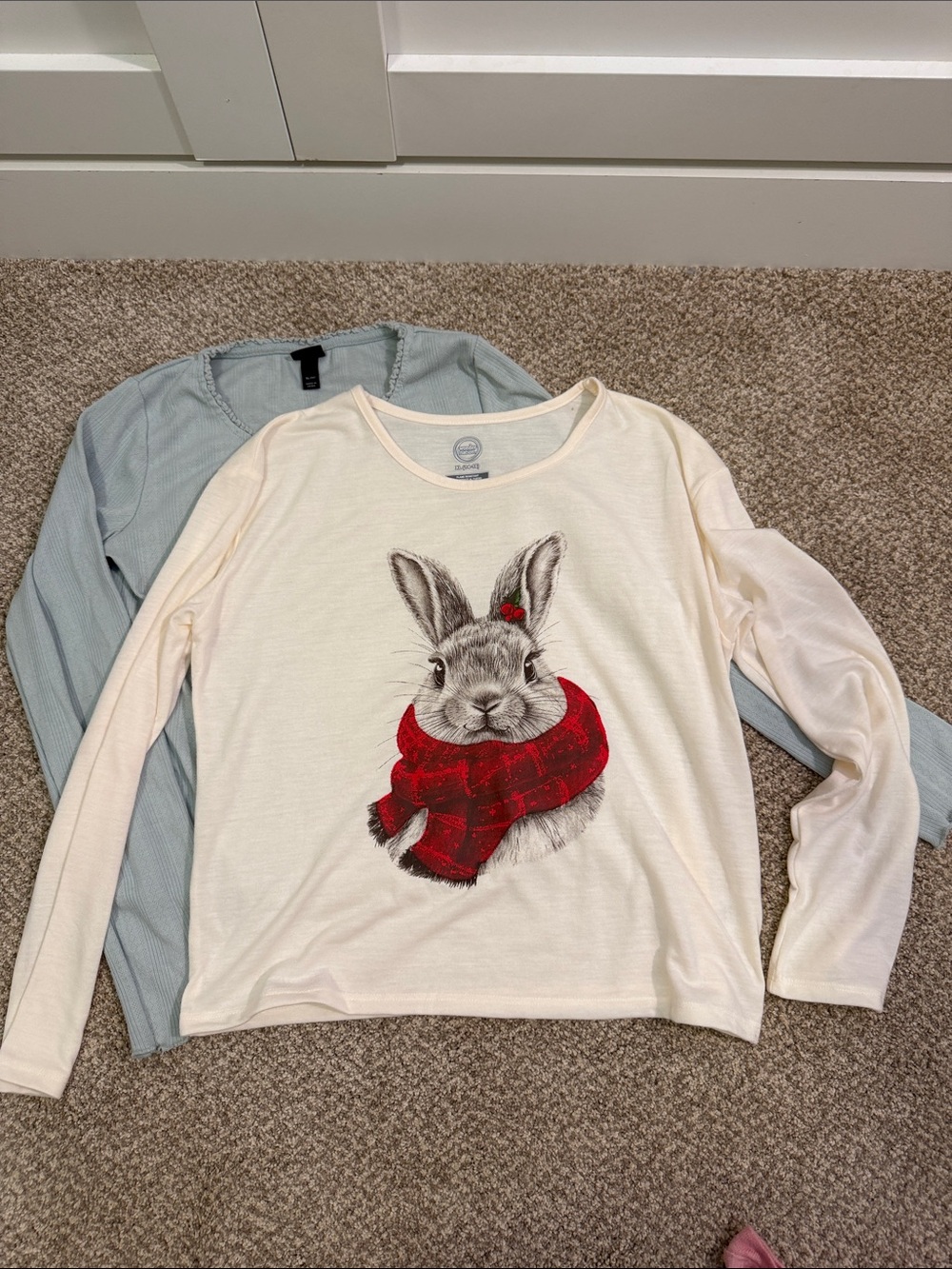 Red Scarf Bunny Graphic tee & Soft Blue Lettuce Trim tee
